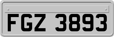 FGZ3893