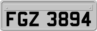 FGZ3894