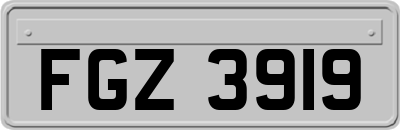 FGZ3919