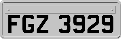 FGZ3929