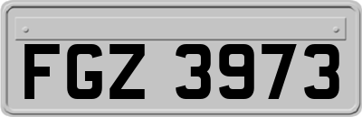 FGZ3973