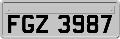 FGZ3987