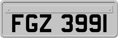 FGZ3991