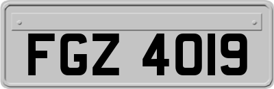 FGZ4019