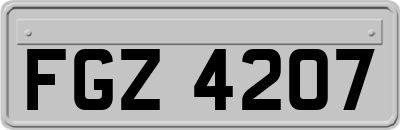 FGZ4207