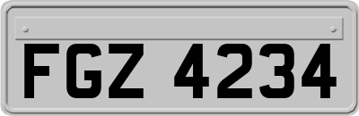 FGZ4234