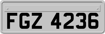FGZ4236