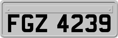 FGZ4239