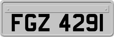 FGZ4291