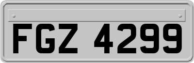 FGZ4299