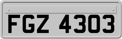 FGZ4303