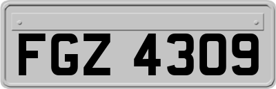 FGZ4309