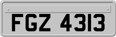FGZ4313