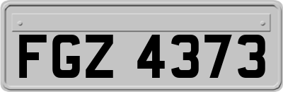 FGZ4373