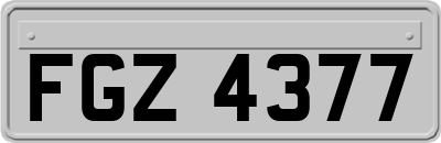FGZ4377