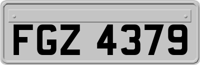 FGZ4379