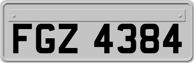 FGZ4384