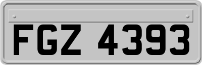 FGZ4393