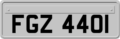 FGZ4401