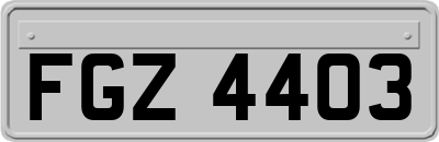 FGZ4403