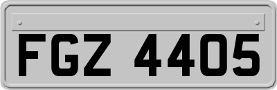 FGZ4405