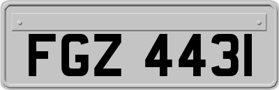 FGZ4431