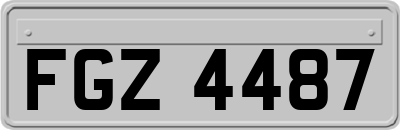 FGZ4487