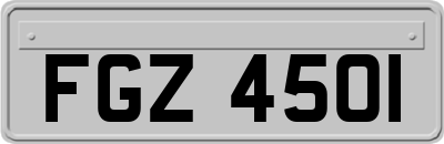FGZ4501