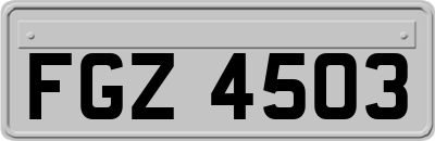 FGZ4503