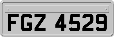 FGZ4529
