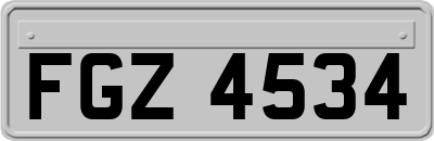 FGZ4534