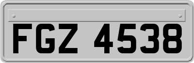 FGZ4538