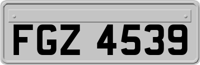 FGZ4539