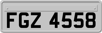FGZ4558