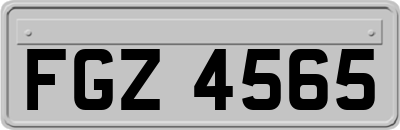 FGZ4565