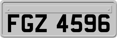 FGZ4596
