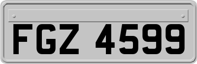 FGZ4599