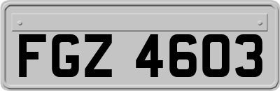 FGZ4603