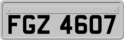 FGZ4607