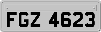 FGZ4623