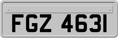 FGZ4631