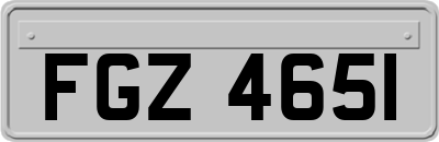 FGZ4651