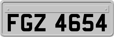 FGZ4654