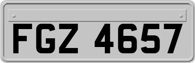 FGZ4657
