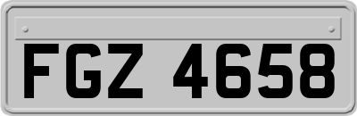 FGZ4658
