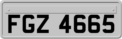FGZ4665