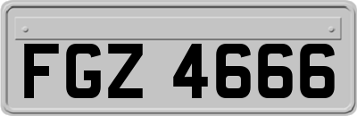 FGZ4666