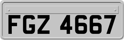 FGZ4667