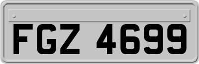 FGZ4699