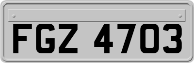 FGZ4703